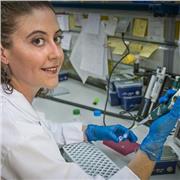 Clases particulares de primaria, ESO y grado en Biología